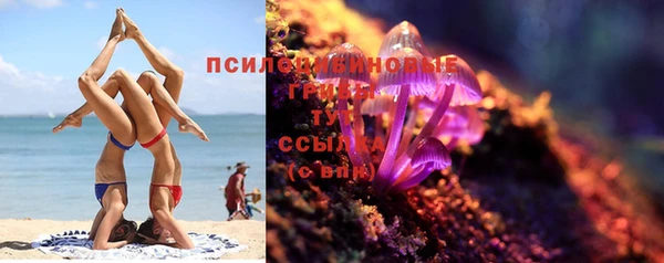 mdpv Покачи