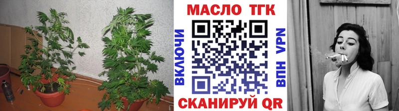 Дистиллят ТГК жижа  Купить закладки  Егорьевск 
