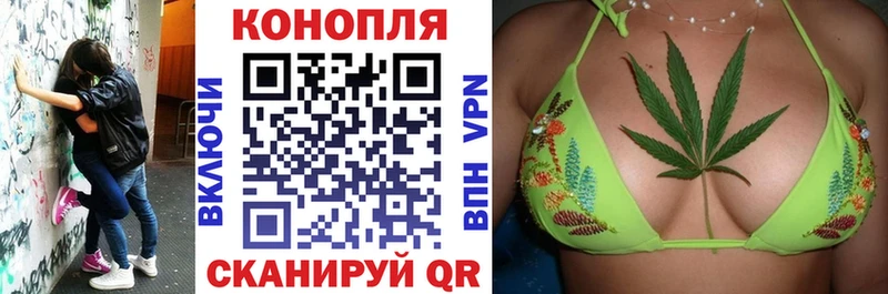 Конопля OG Kush  Купить закладки  Егорьевск 